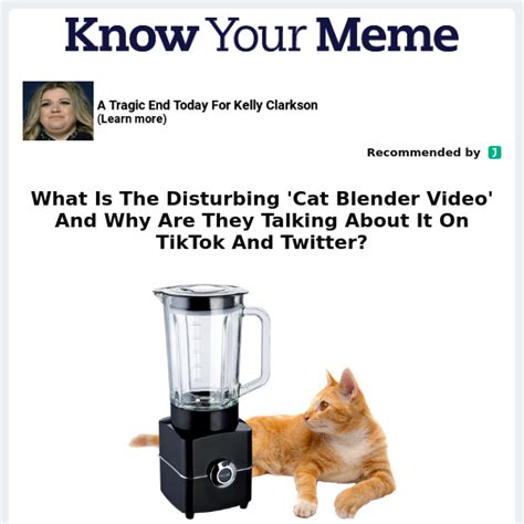 cat in blender video twitter|Twitter. It’s what’s happening / Twitter